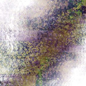 8BCCF3AE-F0C0-4327-BA67-9370CCB5DFD2